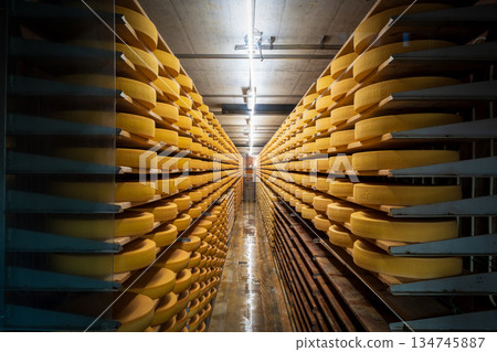 Production line and aging warehouse at La Maison du Gruyère cheese factory. Gruyère, Canton of Fribourg, Switzerland Production line and aging warehouse at La Maison du Gruyère cheese factory. Gruyère, Canton of Fribourg, Switzerland 134745887
