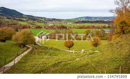 Autumn landscape with colorful trees and meadows in Gruyères, canton of Fribourg, Switzerland Autumn landscape with colorful trees and meadows in Gruyères, canton of Fribourg, Switzerland 134745899