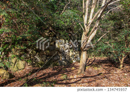 Kannonji Castle Ruins 134745937