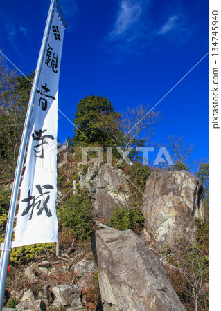 觀音寺城堡遺址 134745940