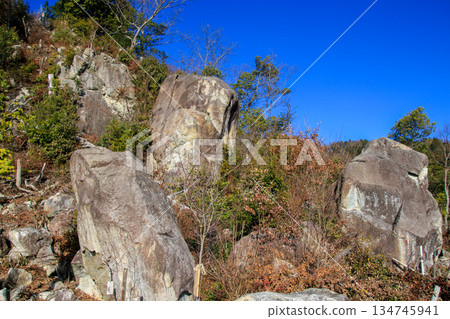 觀音寺城堡遺址 134745941