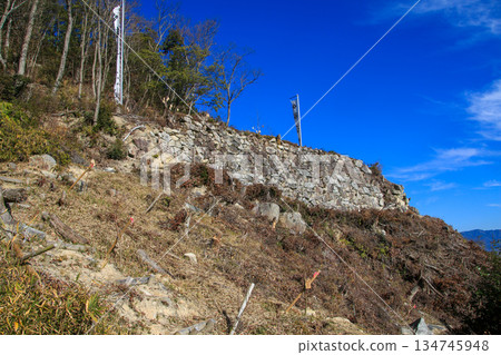 觀音寺城堡遺址 134745948