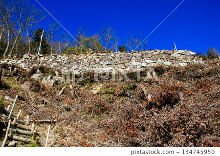 Kannonji Castle Ruins Kannonji Castle Ruins 134745950