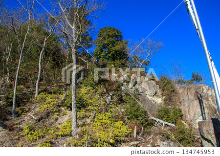 觀音寺城堡遺址 134745953