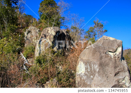 Kannonji Castle Ruins 134745955