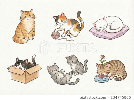 【水彩風格】可愛貓咪姿勢6張套裝 No.1 134745960