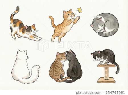 【水彩風格】可愛貓咪姿勢6張套裝 No.2 134745961