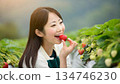 Woman picking strawberries 134746230