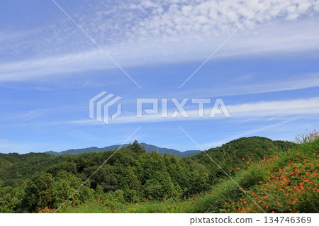 Satoyama, mountain range, autumn sky, seasonal feeling 134746369