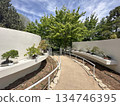 Bonsai collection in the Jerusalem Botanical Garden 134746395