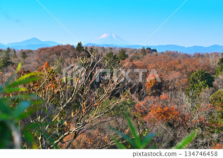 白雪皚皚的富士山和山脈－從狹山富士山頂眺望 134746458