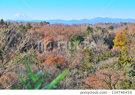 Snow-capped Mount Fuji and the mountain range - View from the summit of Sayama-Fuji Snow-capped Mount Fuji and the mountain range - View from the summit of Sayama-Fuji 134746459