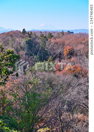 白雪皚皚的富士山和山脈－從狹山富士山頂眺望 134746465