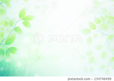 霧中的新綠 霧中的新綠 134746499