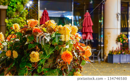 Hanging basket at night Hanging basket at night 134746580