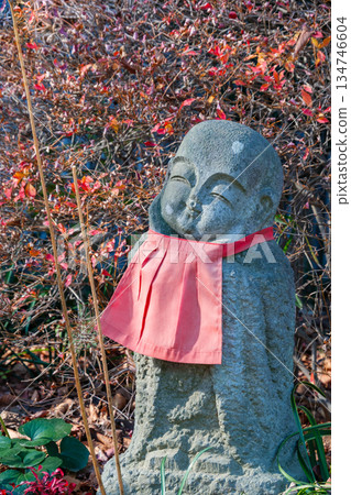Mr. Jizo and autumn leaves 134746604