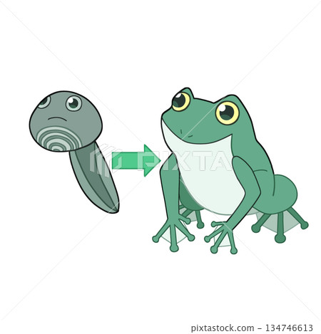 一隻逗人喜愛的青蛙的例證 134746613