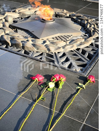 The eternal flame and red carnations are a symbol of memory and glory at the memorial complex. 134746677