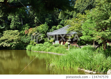 Joruriji Temple Garden Pond and Main Hall (Kizugawa City, Kyoto Prefecture) 134747570