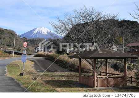 Snow-capped Mt. Daisen, Sangenjaya, Hoki Town, 4 134747703