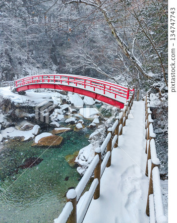 湯森谷(冬季) 湯森谷(冬季) 134747743