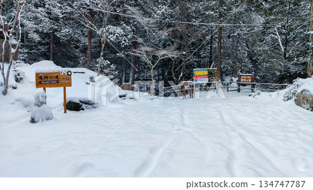 湯森谷（冬季）：龍神瀑布入口 134747787