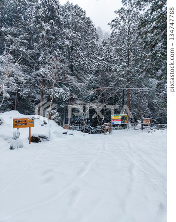 湯森谷（冬季）：龍神瀑布入口 134747788