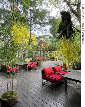 庭園餐廳的用餐環境和裝飾場景 134747841