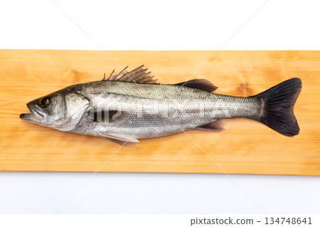 新鮮海鱸魚，全長約60厘米 134748641