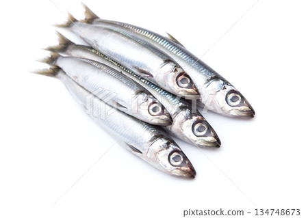 新鮮圓鯡魚 134748673