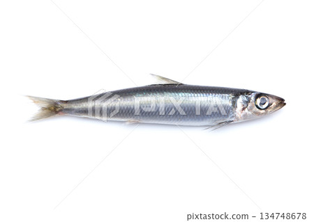 新鮮圓鯡魚 134748678