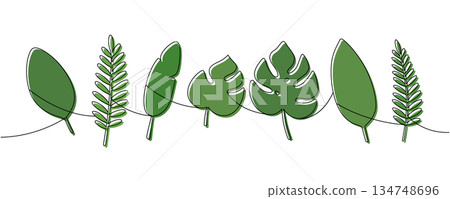 Minimalist green-filled line drawing of tropical leaves. Elegant botanical contour art for stylish nature-themed designs Minimalist green-filled line drawing of tropical leaves. Elegant botanical contour art for stylish nature-themed designs 134748696