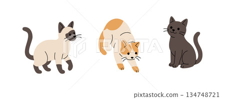 Set of cartoon cats in different poses. Flat vector collection of cute felines for playful children themes 134748721