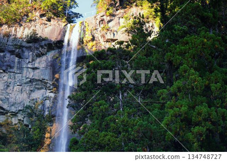Nachi's waterfall Nachi's waterfall 134748727