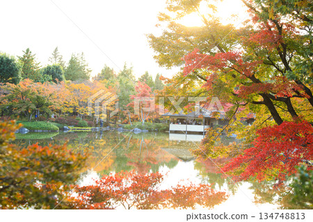 秋葉環繞的池塘邊，是一座日式庭園。 134748813