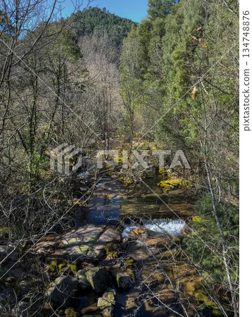 Water stream near Fecha de Barjas waterfall 134748876