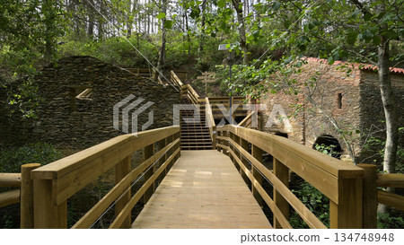 Wooden footbridge in Stanislaus fountain park 134748948