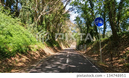 Point of view shot of riding a bicycle Point of view shot of riding a bicycle 134748951