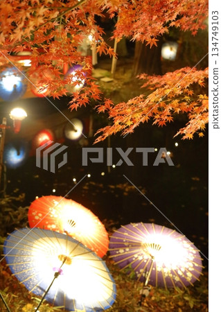 燈光照耀下的秋葉和日式雨傘 燈光照耀下的秋葉和日式雨傘 134749103