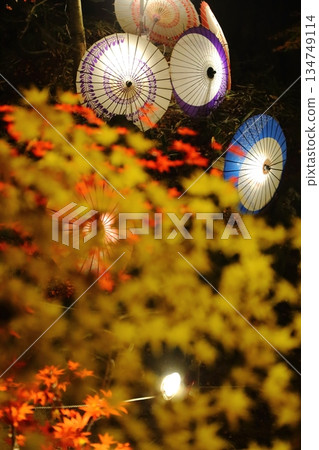 Illuminated autumn leaves and Japanese umbrellas Illuminated autumn leaves and Japanese umbrellas 134749114