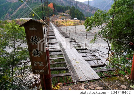 Hidden and unexplored forest bridge Hidden and unexplored forest bridge 134749462