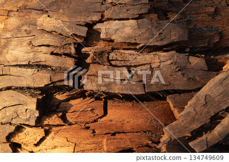 Weathered Wood Texture with Deep Cracks and Natural Grain, Ideal for Rustic Backgrounds Weathered Wood Texture with Deep Cracks and Natural Grain, Ideal for Rustic Backgrounds 134749609