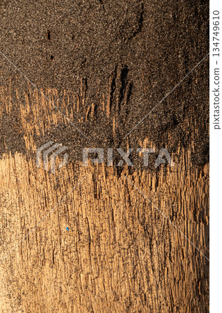 Wood Texture with Sand Overlay, Abstract Natural Pattern Background for Material Design and Organic Surface Concept Wood Texture with Sand Overlay, Abstract Natural Pattern Background for Material Design and Organic Surface Concept 134749610