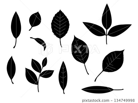 簡易葉子套裝 134749998