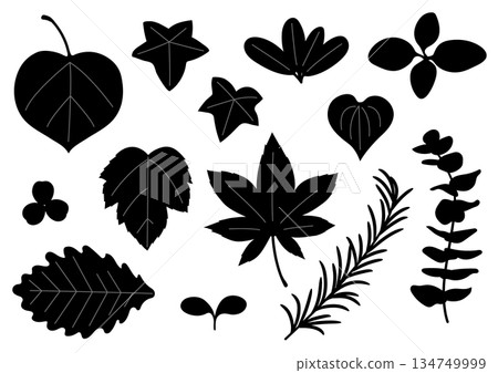 Simple leaf set 134749999