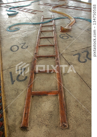 Cobra snake Cobra snake 134750588
