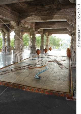 Cobra snake 134750591