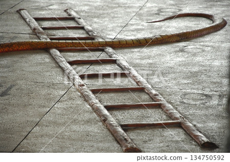 Cobra snake 134750592