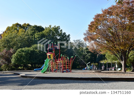 神奈川縣:相模原淺溝公園的兒童遊樂場、遊樂設施和秋葉 神奈川縣:相模原淺溝公園的兒童遊樂場、遊樂設施和秋葉 134751160