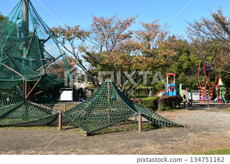 神奈川縣:相模原淺溝公園的兒童遊樂場、遊樂設施和秋葉 神奈川縣:相模原淺溝公園的兒童遊樂場、遊樂設施和秋葉 134751162